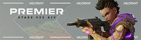 การ์ด PREMIER V25A4