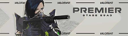 การ์ด PREMIER E9A3