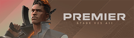 การ์ด PREMIER V25A2