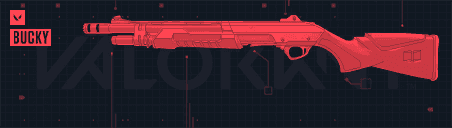 การ์ด Bucky Schema