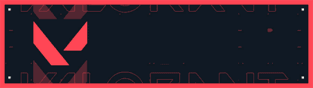 การ์ด VALORANT