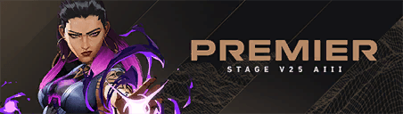 การ์ด PREMIER V25A3