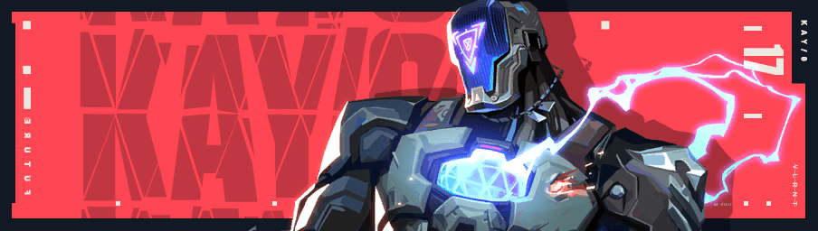 การ์ด VALORANT KAY/O