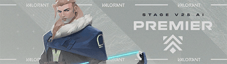 การ์ด PREMIER V25A1