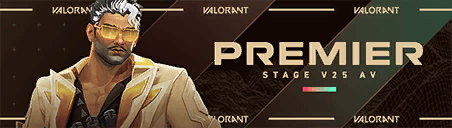 การ์ด PREMIER V25A5